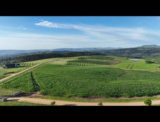 LAND FOR SALE IN MOUNT VERDE